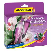 Algo Revitalisant Orchidée x5