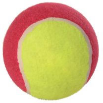 Balle Tennis D10