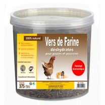 Friandise Poule Vers Farine 375G