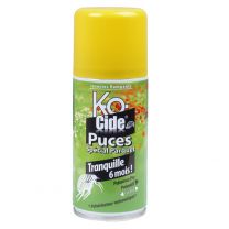 K-ocide Laque Puce Parq. 150ML