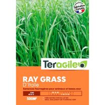Mélange de Graines de Gazon Ray Grass Italien