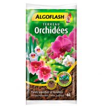 Terreau Algoflash 6L Orchidées avec Tourbe et Ecorces de Pin